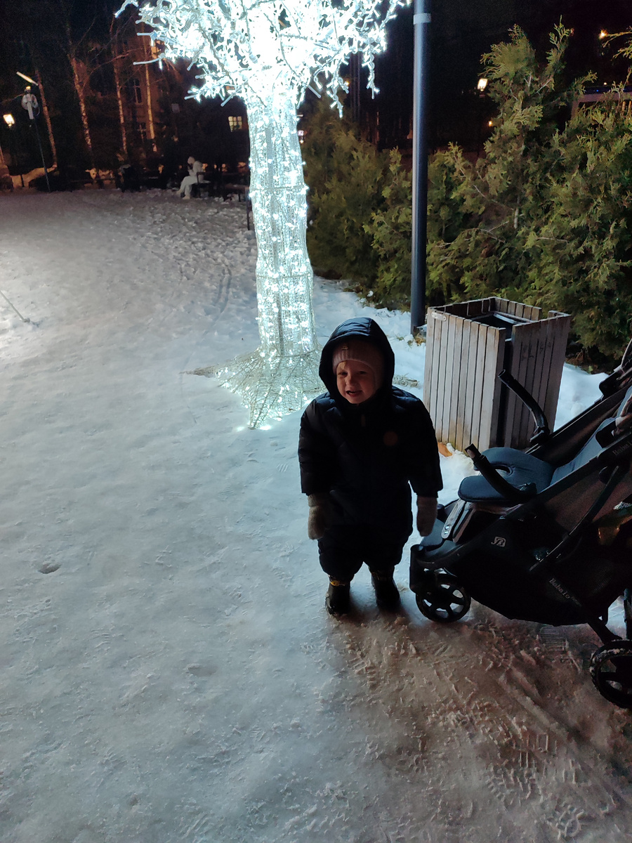 Просится в коляску, фото автора