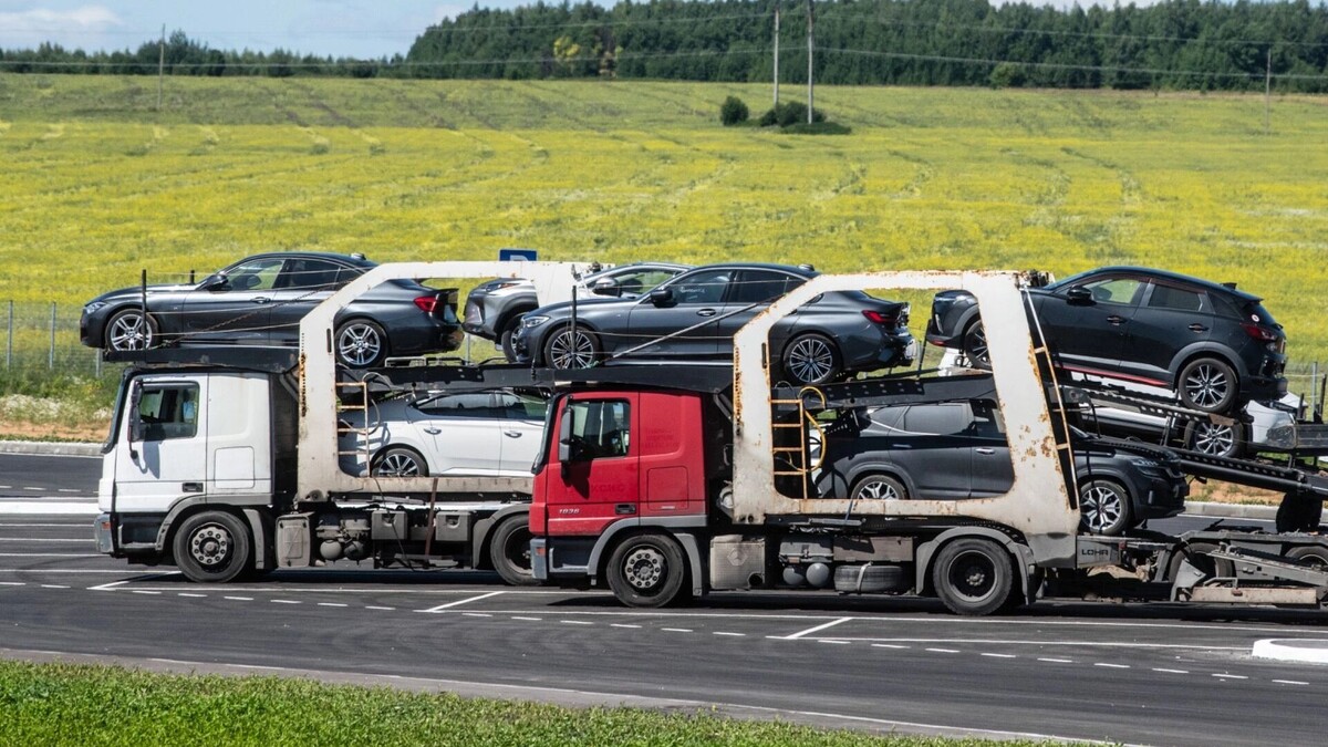 Как не лишиться денег, покупая машину? Фото: Илья Московец, ТАСС