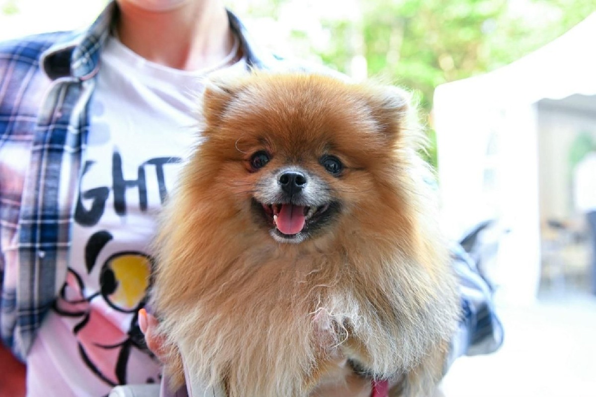    Фото: пресс-служба Минсельхозпрода МО