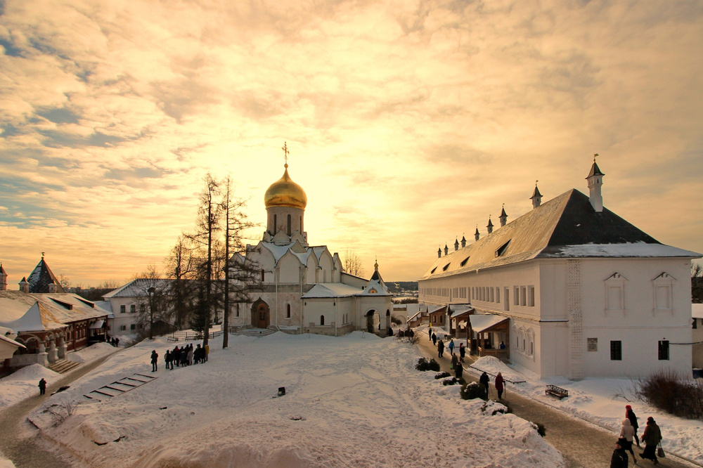 @Lyudmila Sh/Shutterstock