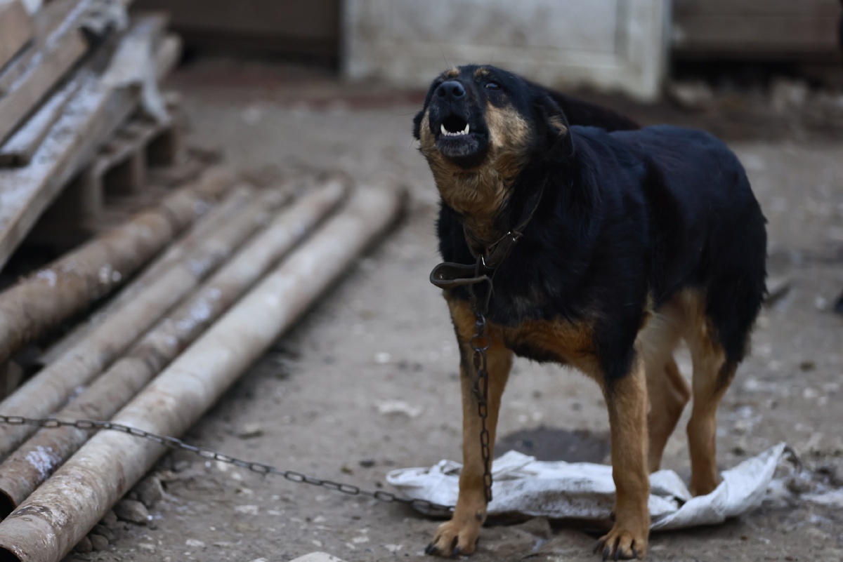    Павел Хацаюк / ИД «Вечерняя Казань»