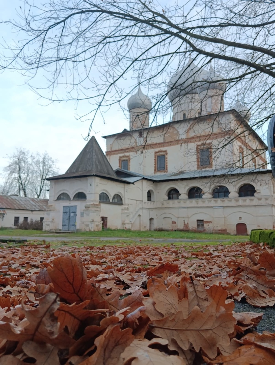 Знаменский собор. Фото автора, ноябрь 2025