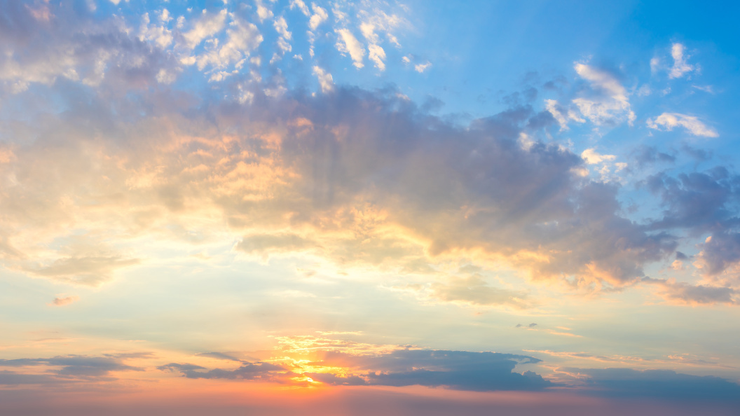    Фото: Taiga/shutterstock