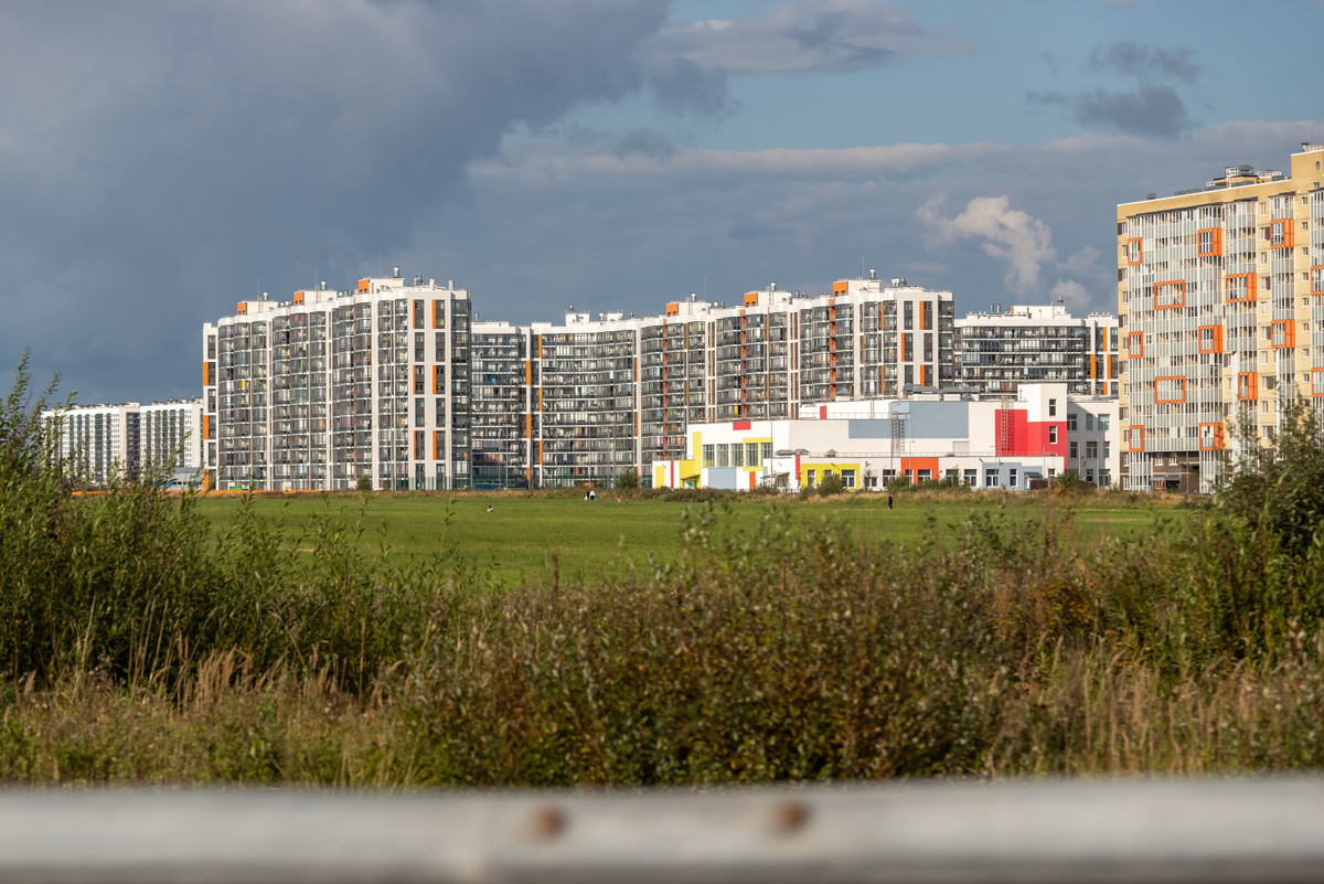 Автор: Олег Золото