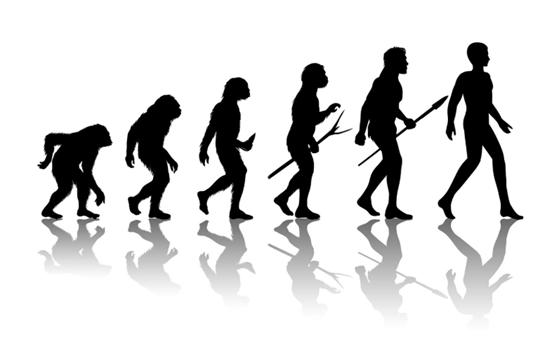 Фото: ru.freepik.com / macrovector