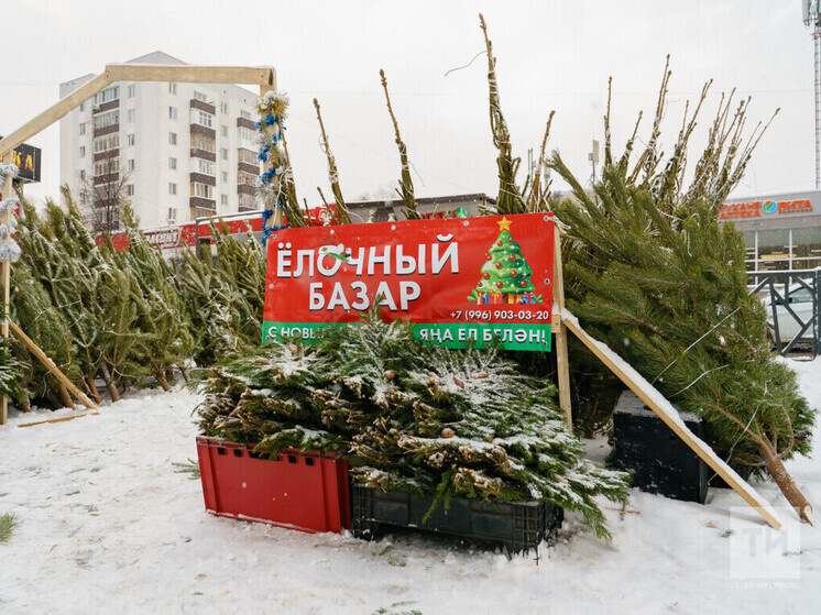     Фото: ИА "Татар-информ"