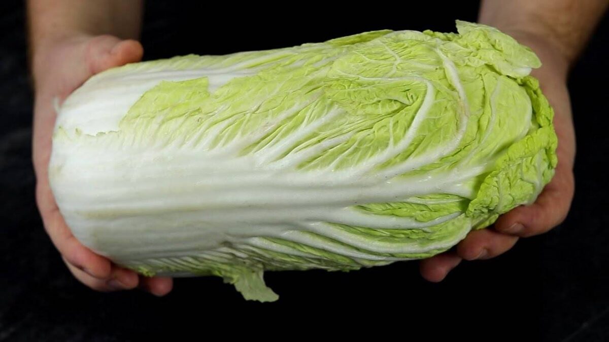 пекинская капуста