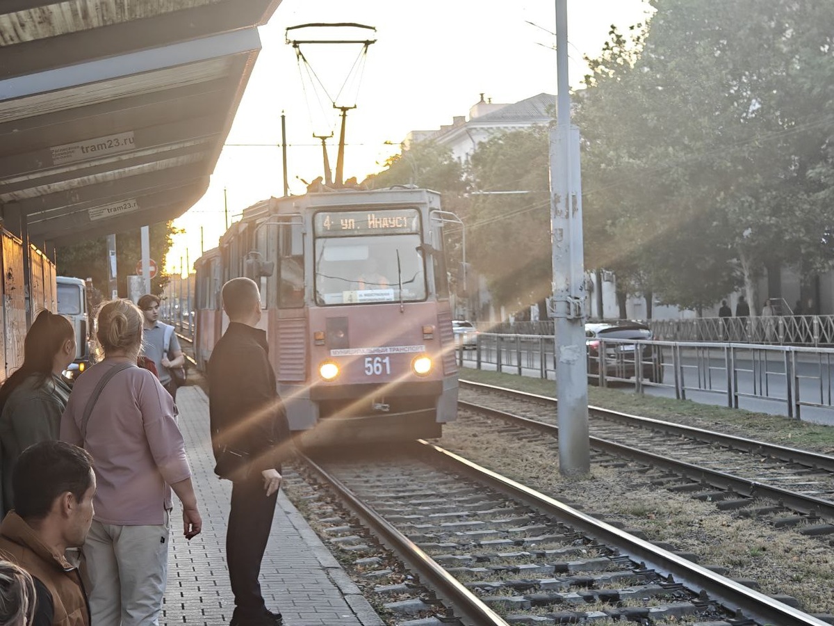    Фото: Юрий Серебренников/BFM Кубань