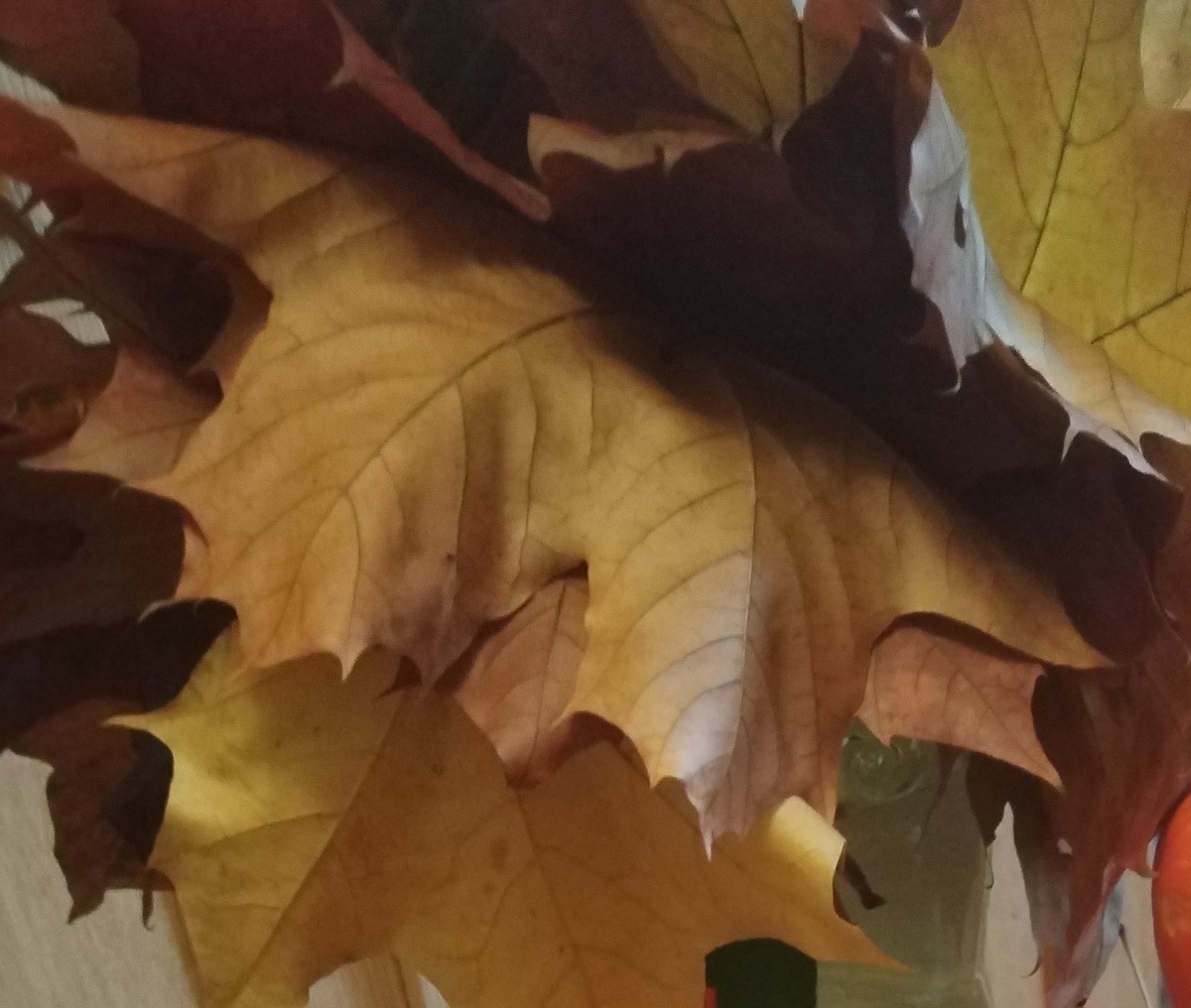 ОСЕННИЙ НАТЮРМОРТ ИЗ ЛИСТЬЕВ (фрагмент) ОТ ВНУЧЕК! из личнфх ыото автора Лидии Шатиловой