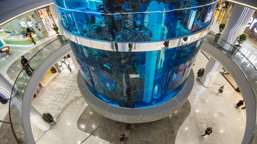    Фото: © РИА Новости/Евгения Новоженина