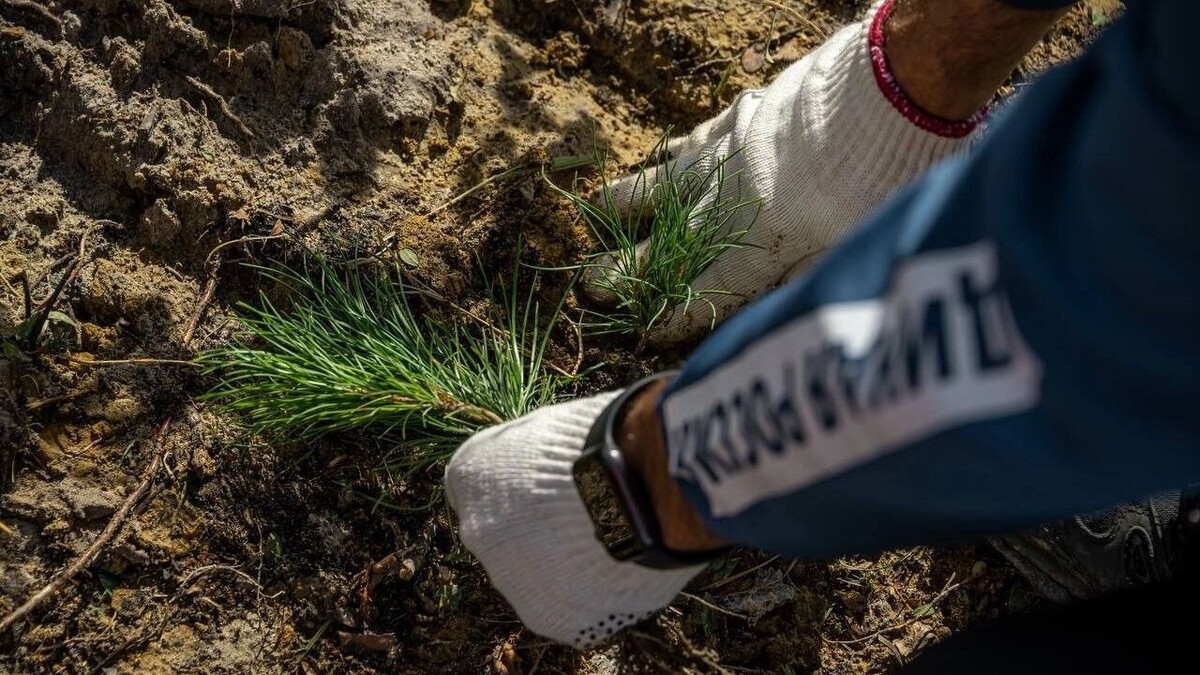   Пресс-служба заместителя председателя Правительства Д. Патрушева