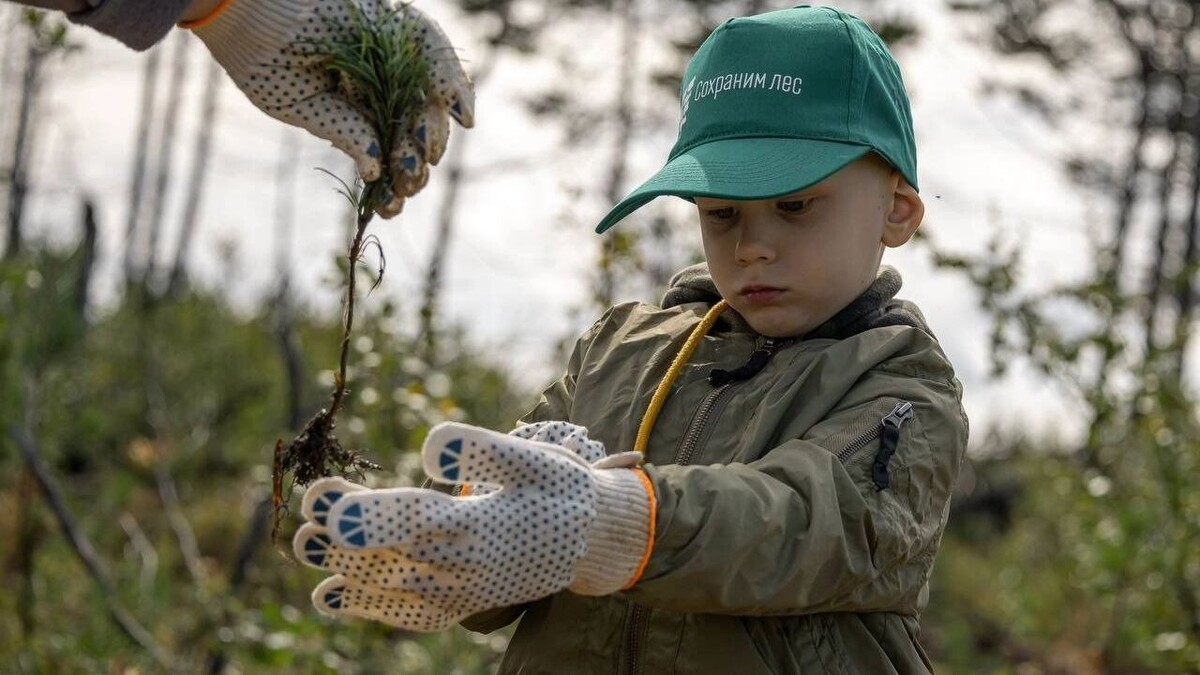     Источник: Пресс-служба заместителя председателя Правительства Д. Патрушева