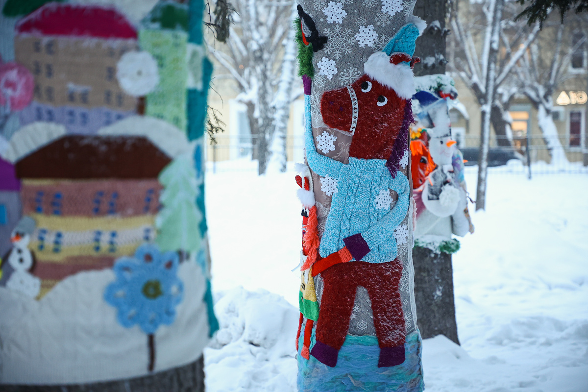    Фото: Ростислав Нетисов, nsknews.info