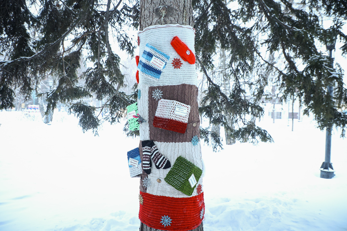    Фото: Ростислав Нетисов, nsknews.info