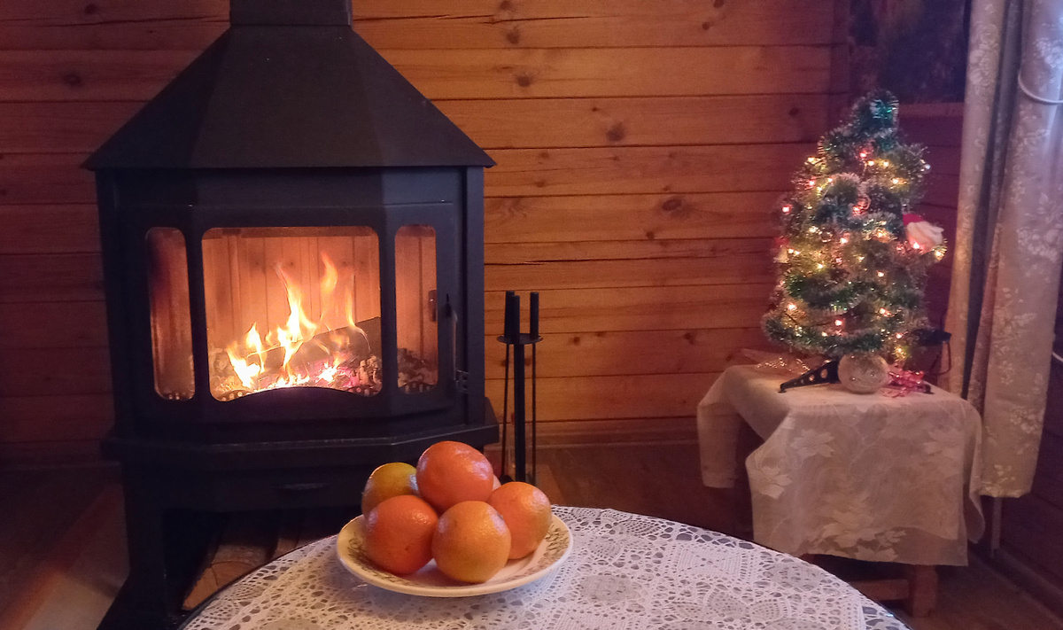 На даче в январе