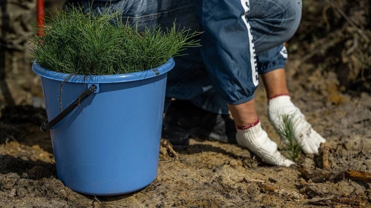     Источник: Пресс-служба заместителя председателя Правительства Д. Патрушева