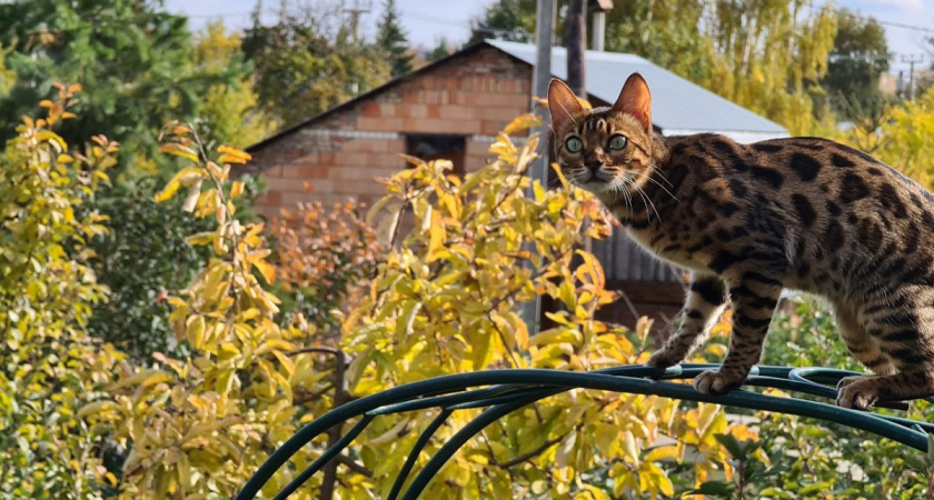    Фото Анастасии Дмитриевой
