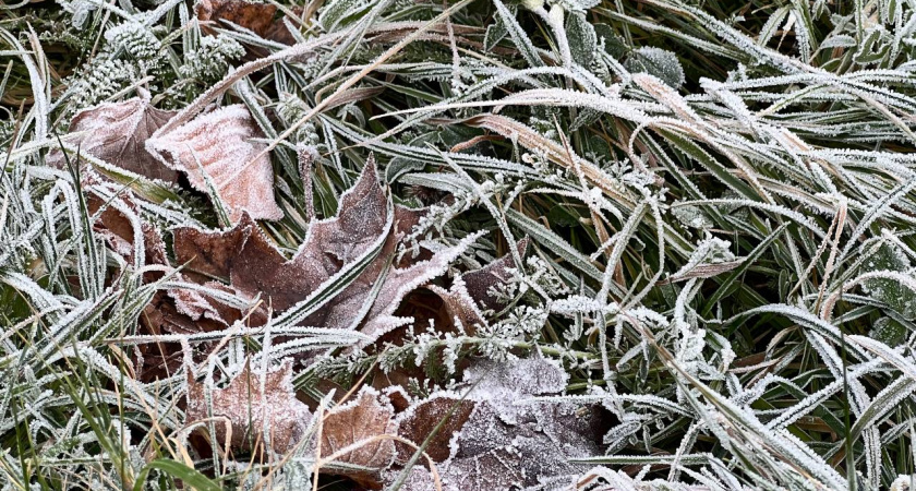    Первый городской канал Калининград