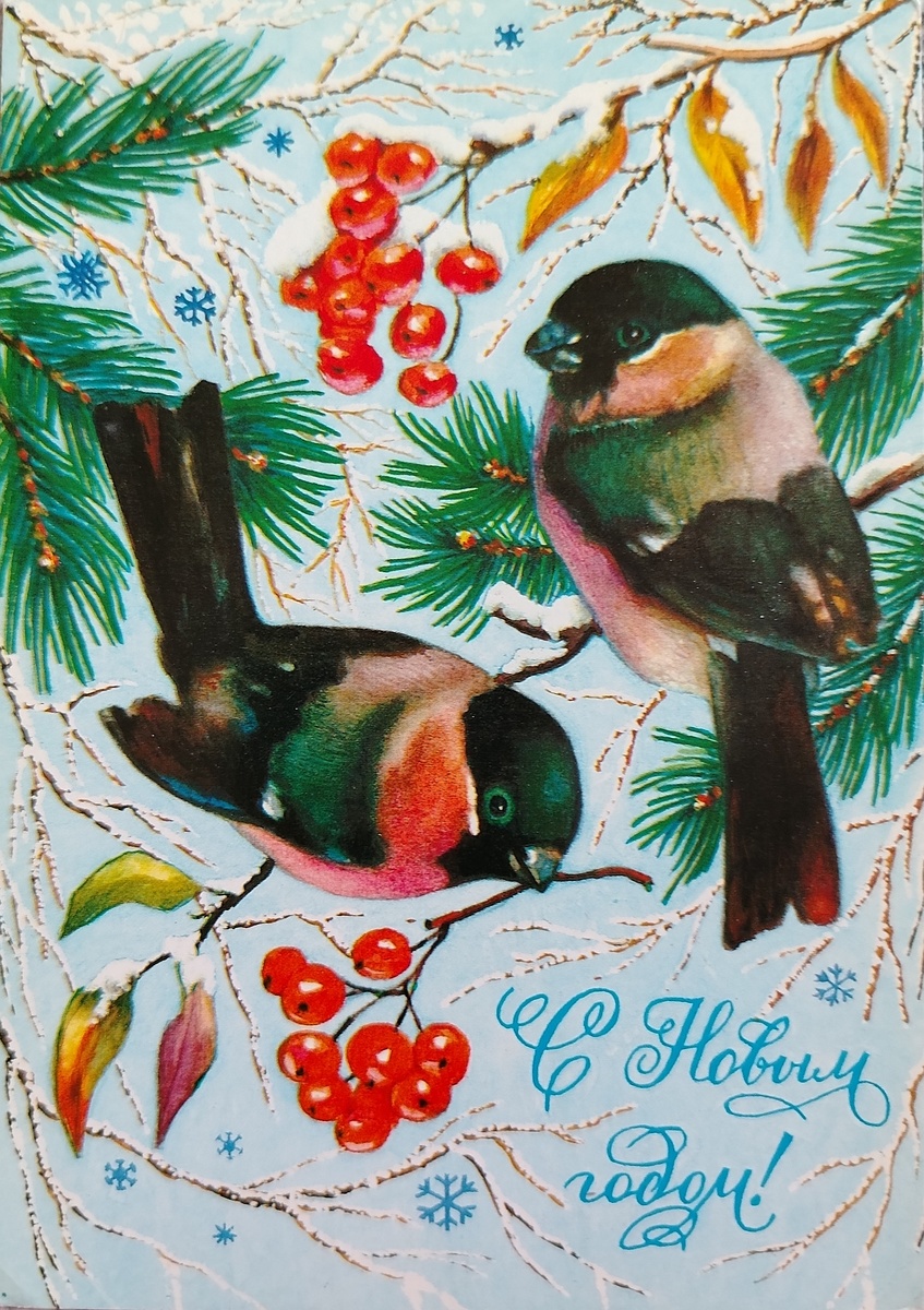 Открытка из моей коллекции