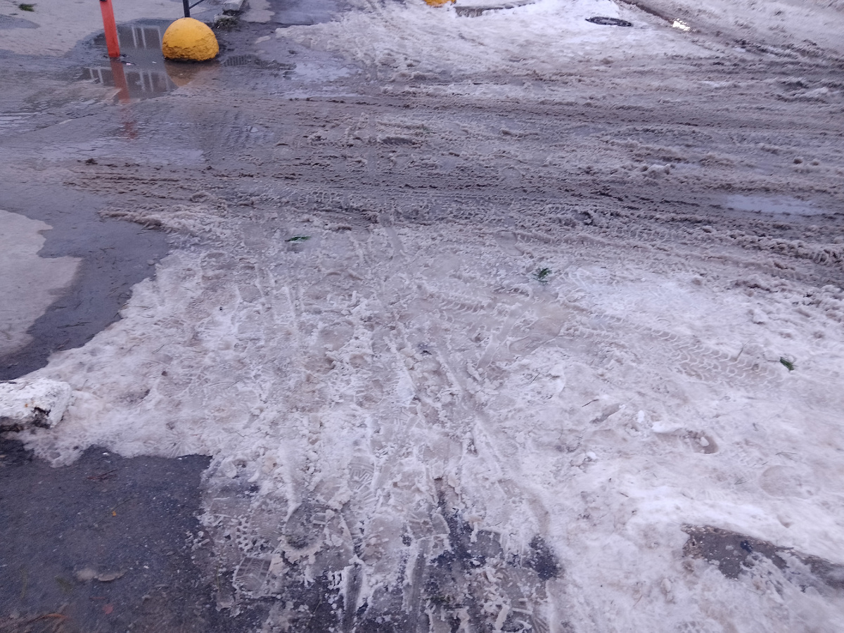 Фото автора, у нас растаял снег