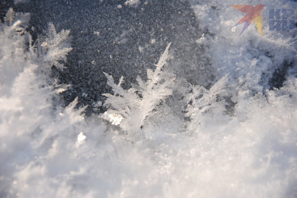    В ночь 20 декабря ожидается облачная погода с прояснениями и небольшой снегопад в большинстве районов области. Елена Шкатова