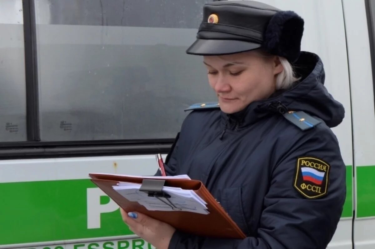    Убившего лося в Самарской области браконьера заставили заплатить штраф