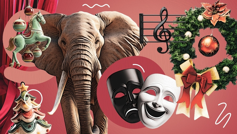      Фото: Антон Глушков / / ИА «Победа26»