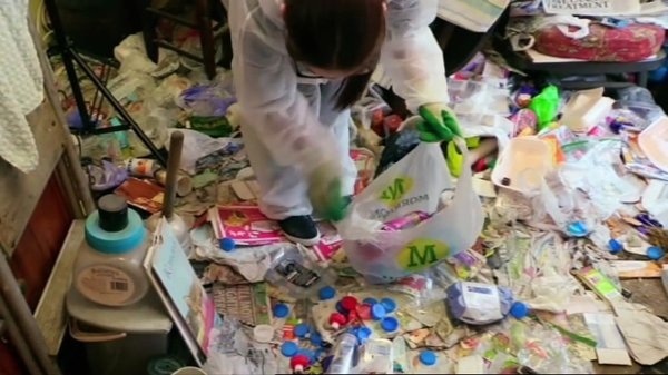 "Помешанные на чистоте"