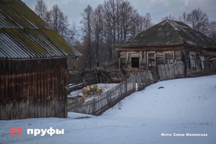    Фото: Пруфы