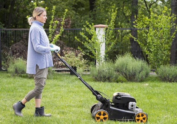 Плоскорез, фруктосборник и газонокосилка: топ инструментов для продвинутого садовода  📷
