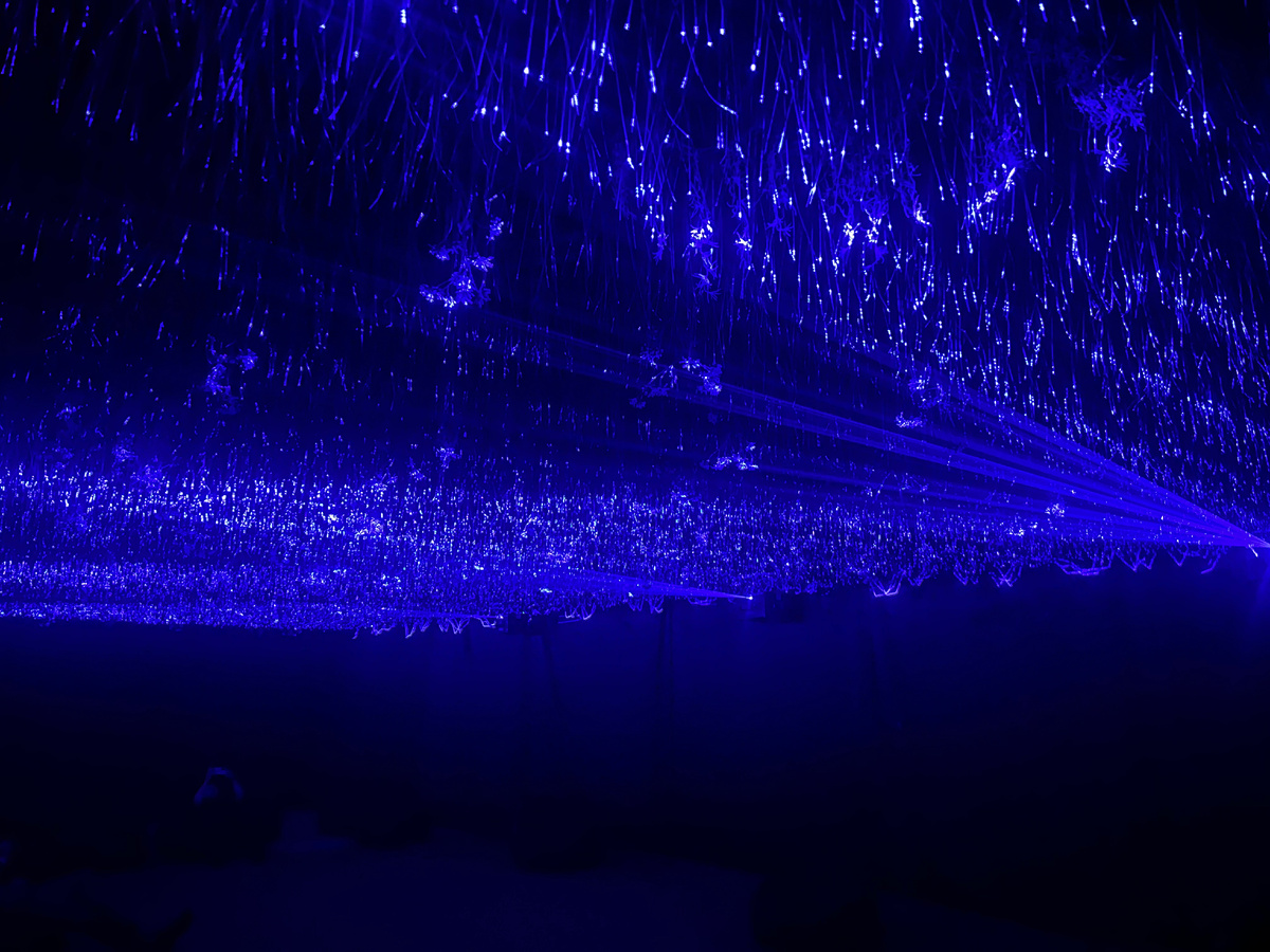 Очень жалею, что камера не передает весь масштаб 