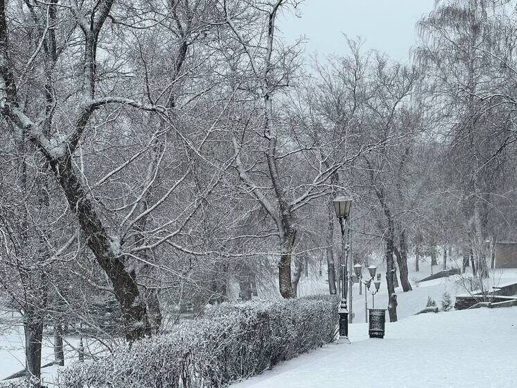     фото: "мк в самаре"