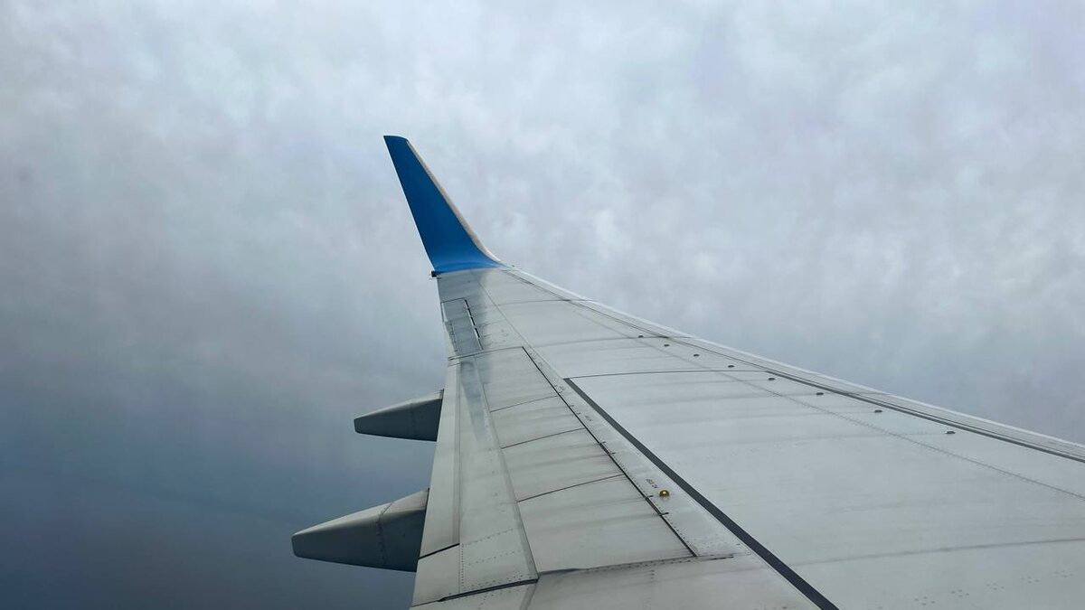    Анна Сальникова