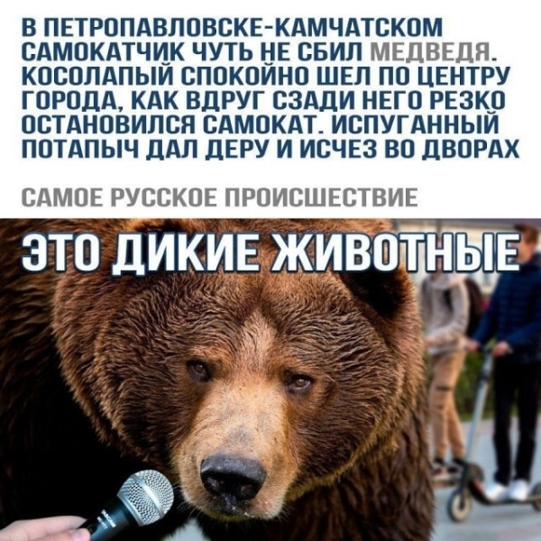 scale_1200