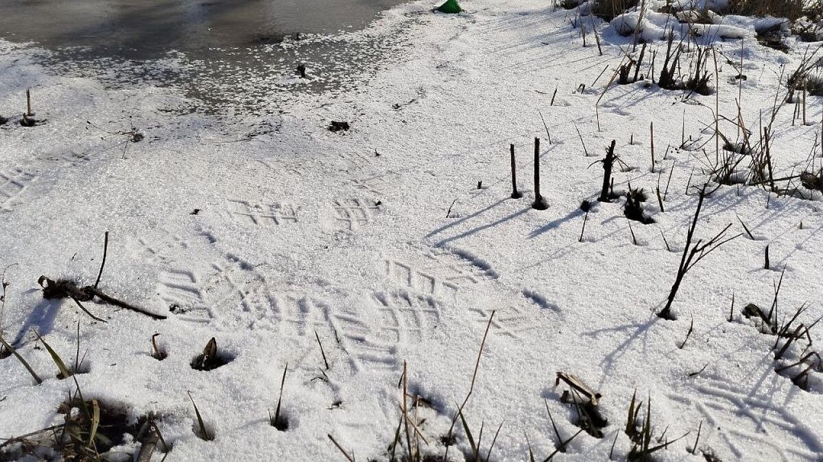    Фото: телеканал «Краснодар»