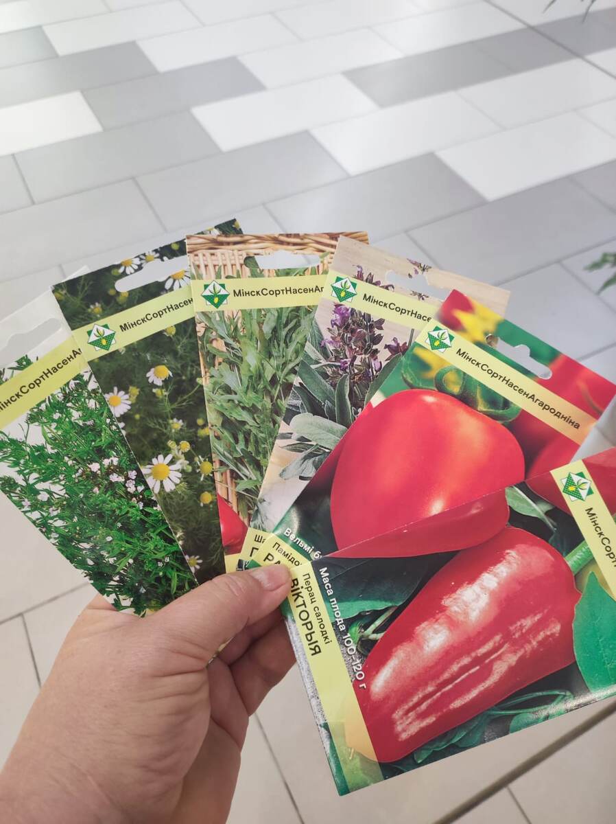 Из этих шикарно вырос шалфей и ромашка! Ромашка просто шикарная, я очень давно ее ждала,не росла. 