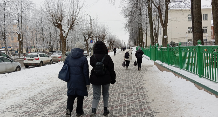    Фото progorod43.ru