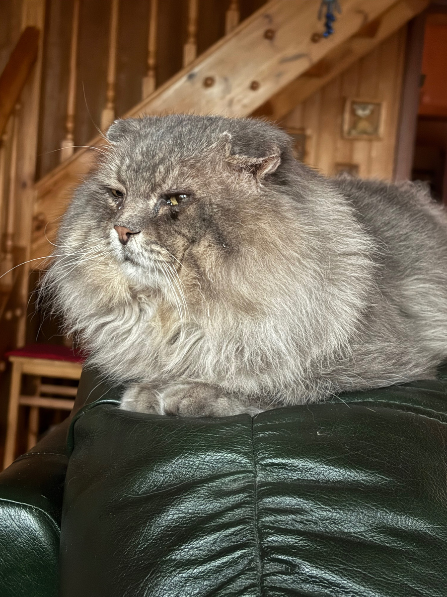 А то я сам не разберусь, что буду кушать! Везде фото автора.