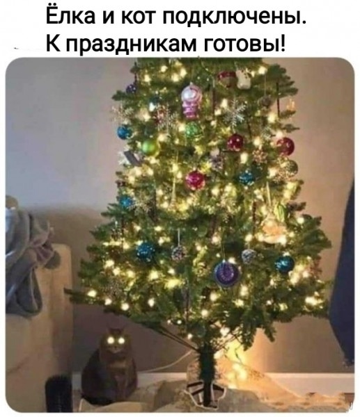 Источник: соцсети