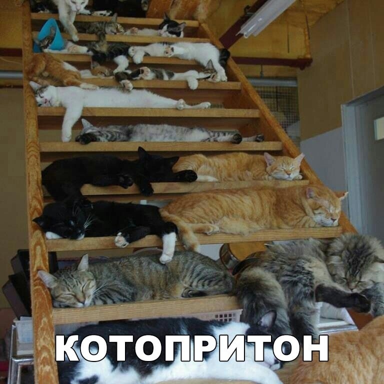 Источния: соцсети