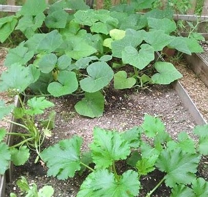 Фото из открытых источников.