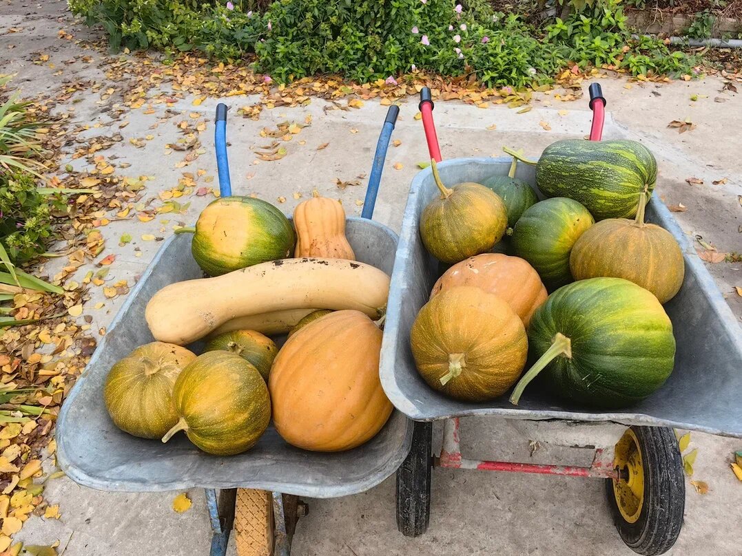 Фото Натальи Мироновой