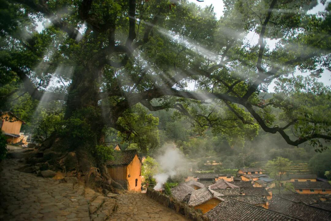 Источник: WeChat