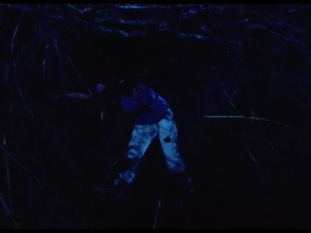 Мэрилин Бёрнс в главной роли — Салли Хардести, «Техасская резня бензопилой» 1974, сцена погони.