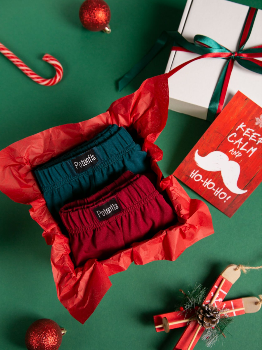 Набор из двух пар трусов Potentia