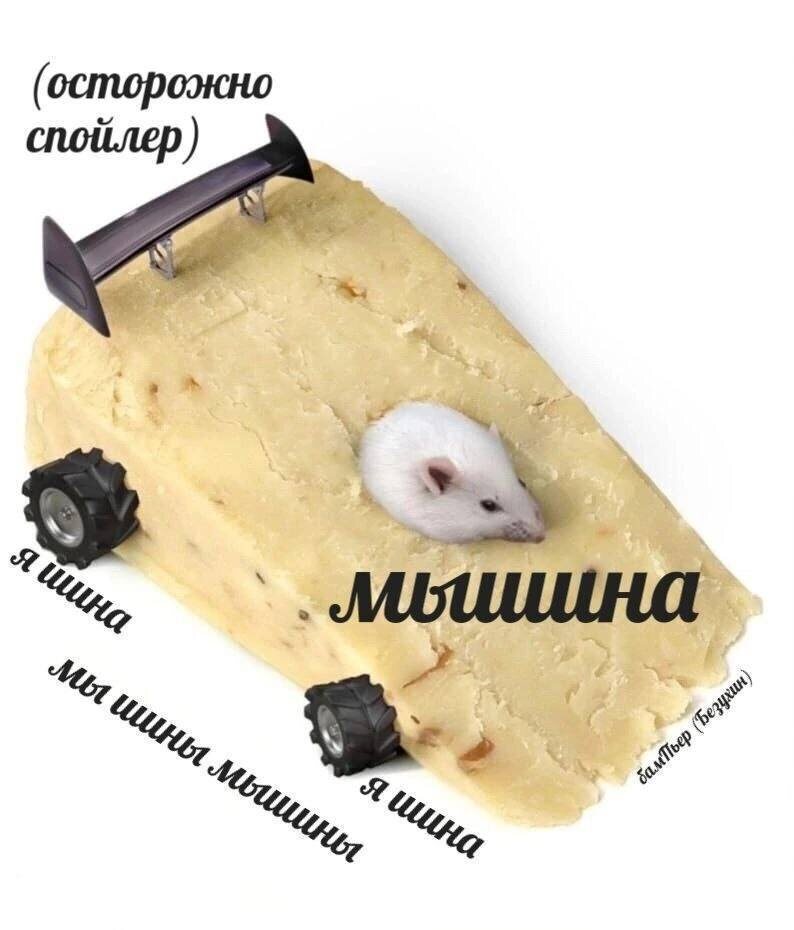 фото из интернета 