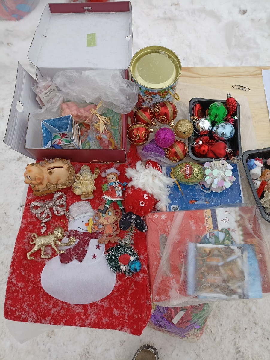    фото: Экологическое движение в Петрозаводске