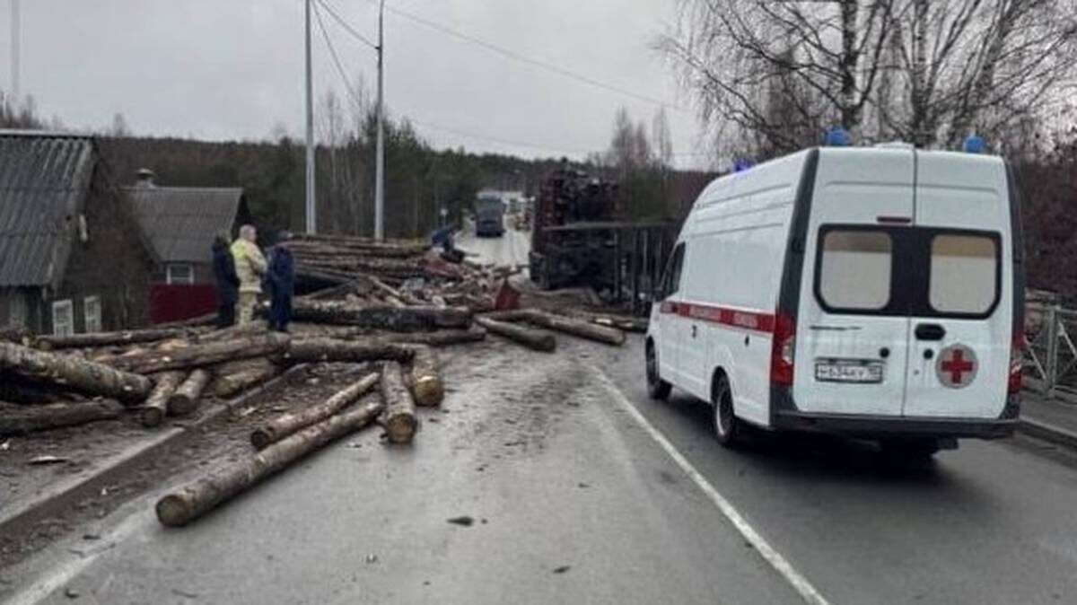    Фото: Госавтоинспекция Карелии / VK