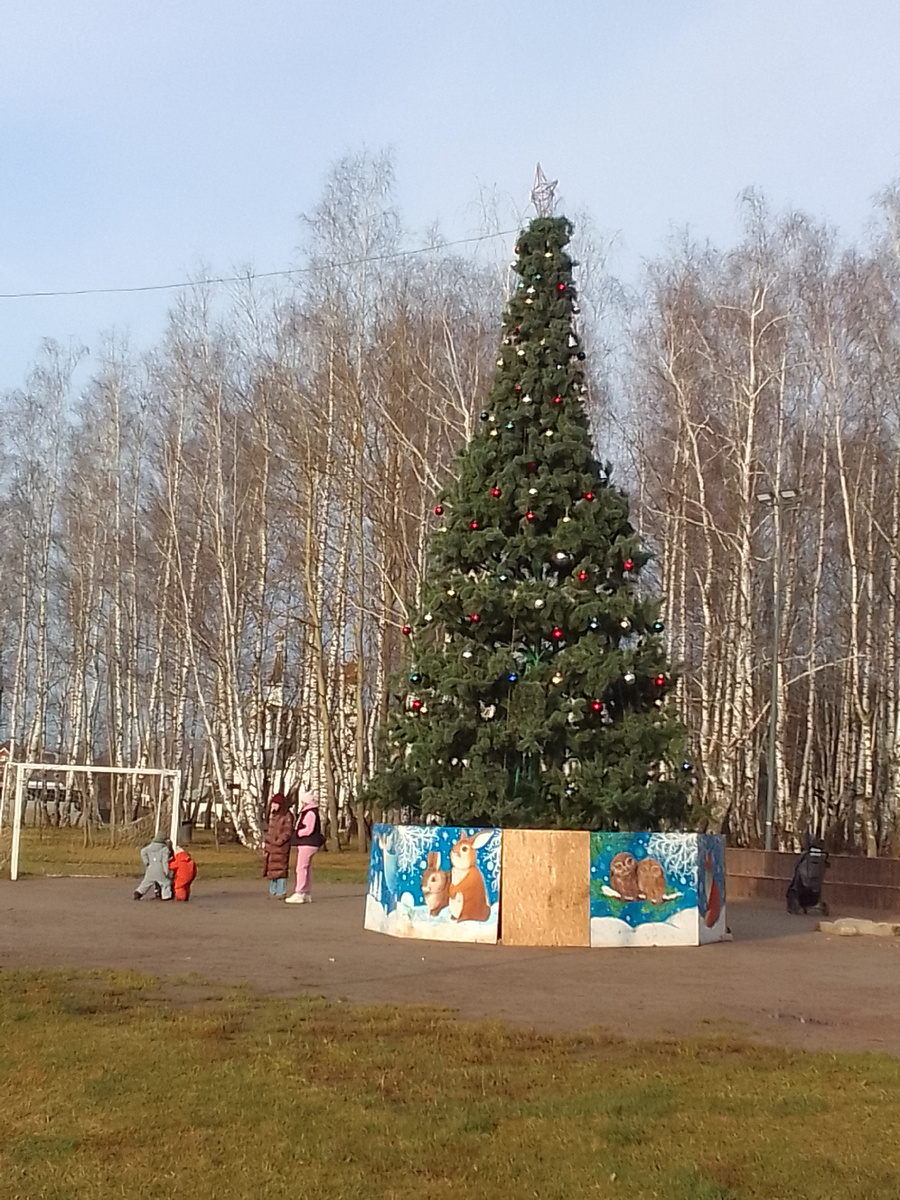 Ёлка в парке. Фото автора