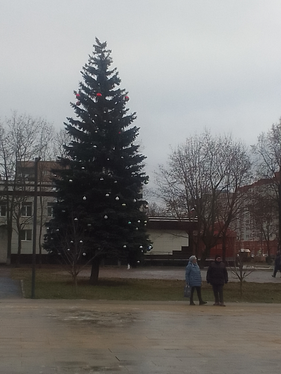 Лесная красавица живёт уже 30 лет в нашем городе